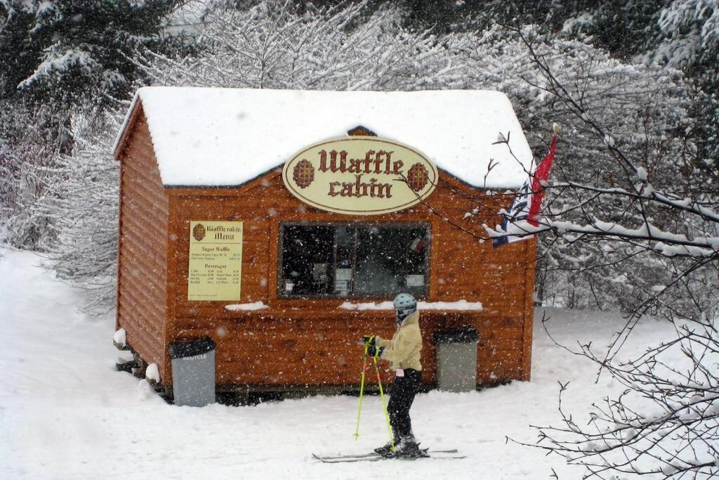 Skiing, Hiking, Village Of Eville Mtn Escape Ellicottville Exterior foto